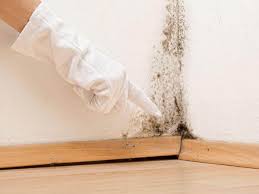 Best Residential Mold Inspection & Testing  in New Roads, LA